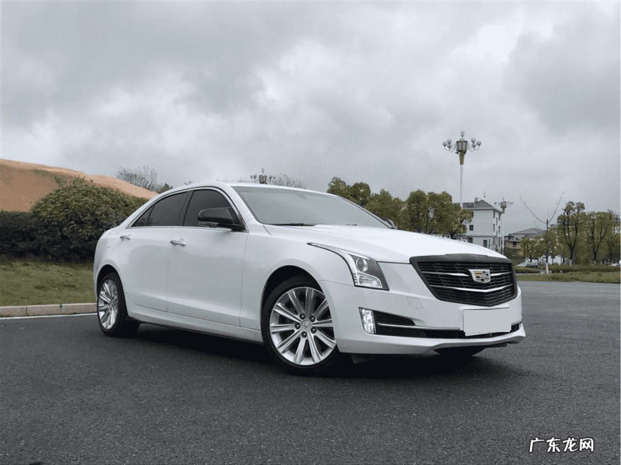 属鼠买几号楼最合适 属鼠的人适合开奔驰吗