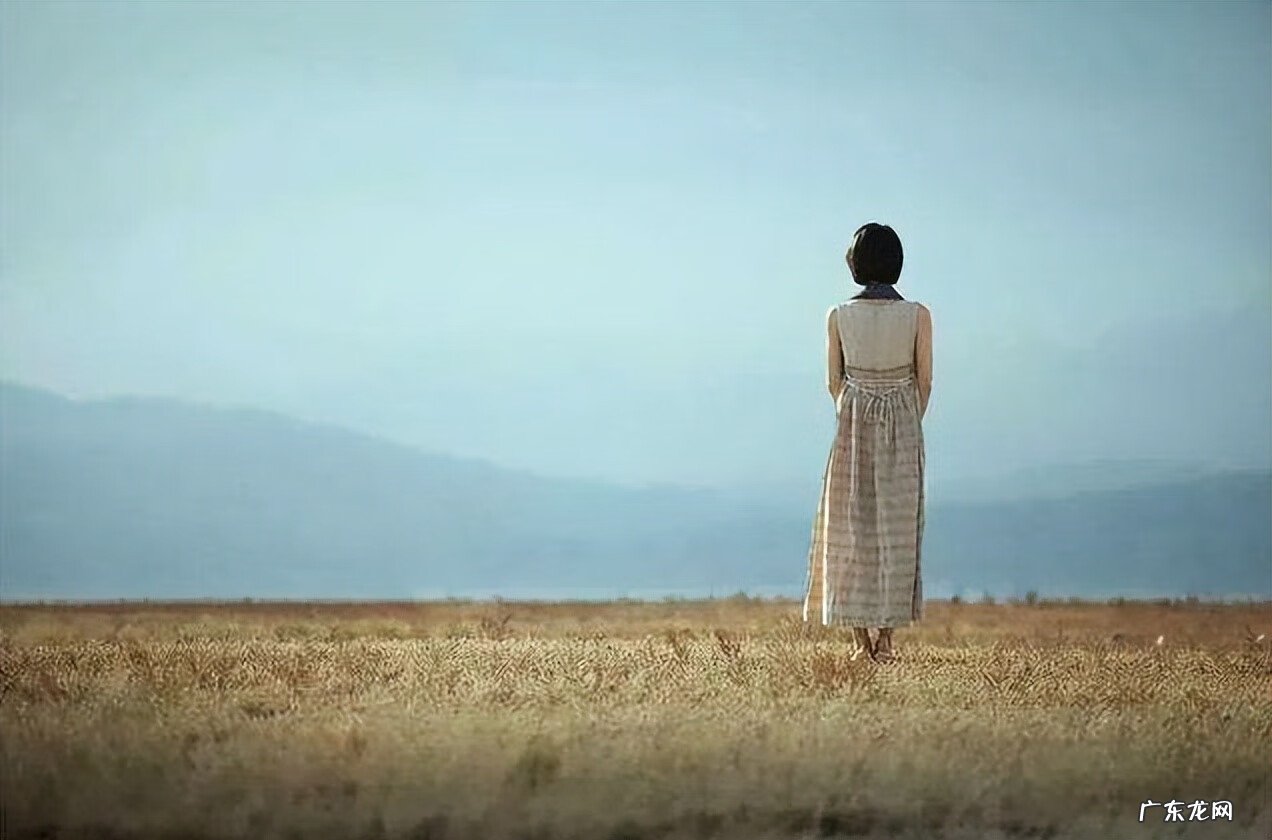 关于马的故事有哪些 有关马的故事有哪些