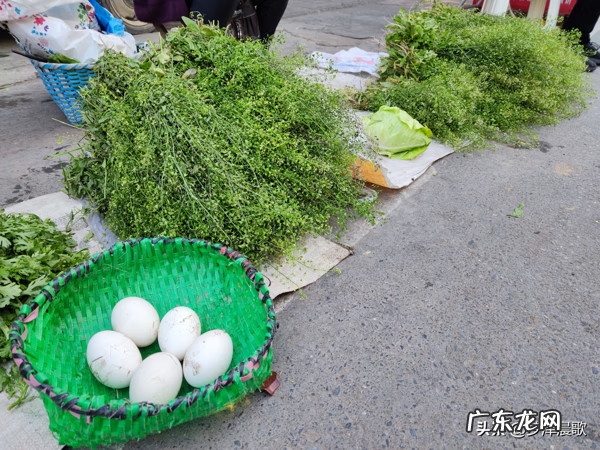 三月三煮鸡蛋的草学名 三月三煮鸡蛋的是什么草