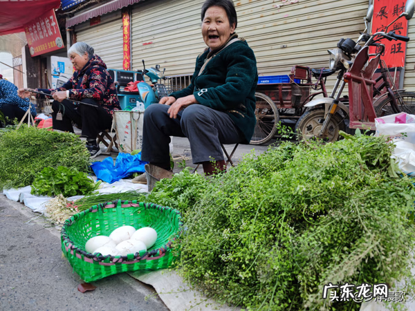 三月三煮鸡蛋的草学名 三月三煮鸡蛋的是什么草