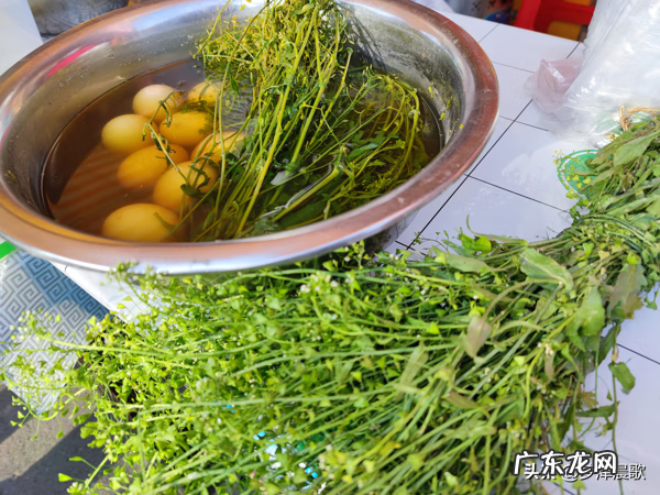 三月三煮鸡蛋的草学名 三月三煮鸡蛋的是什么草