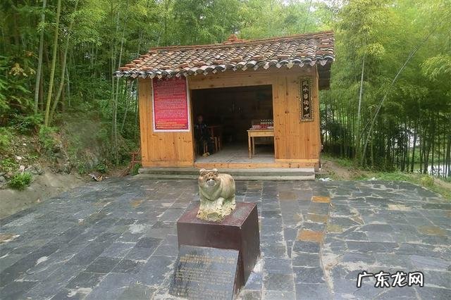 风水新谈 曾国师风水