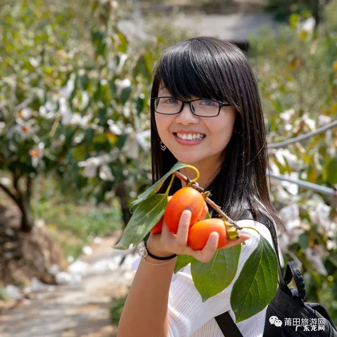 怀孕吃柿子有什么影响 怀孕可以吃柿子吗哎呦