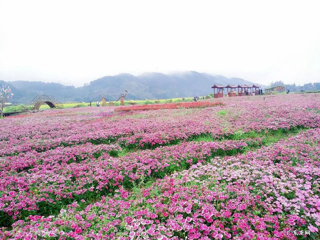 梧州风水师傅 梧州市哪个楼盘风水好