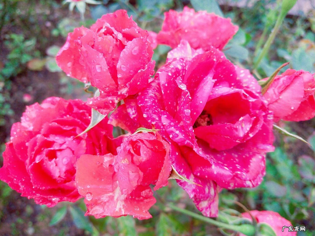 梧州风水师傅 梧州市哪个楼盘风水好