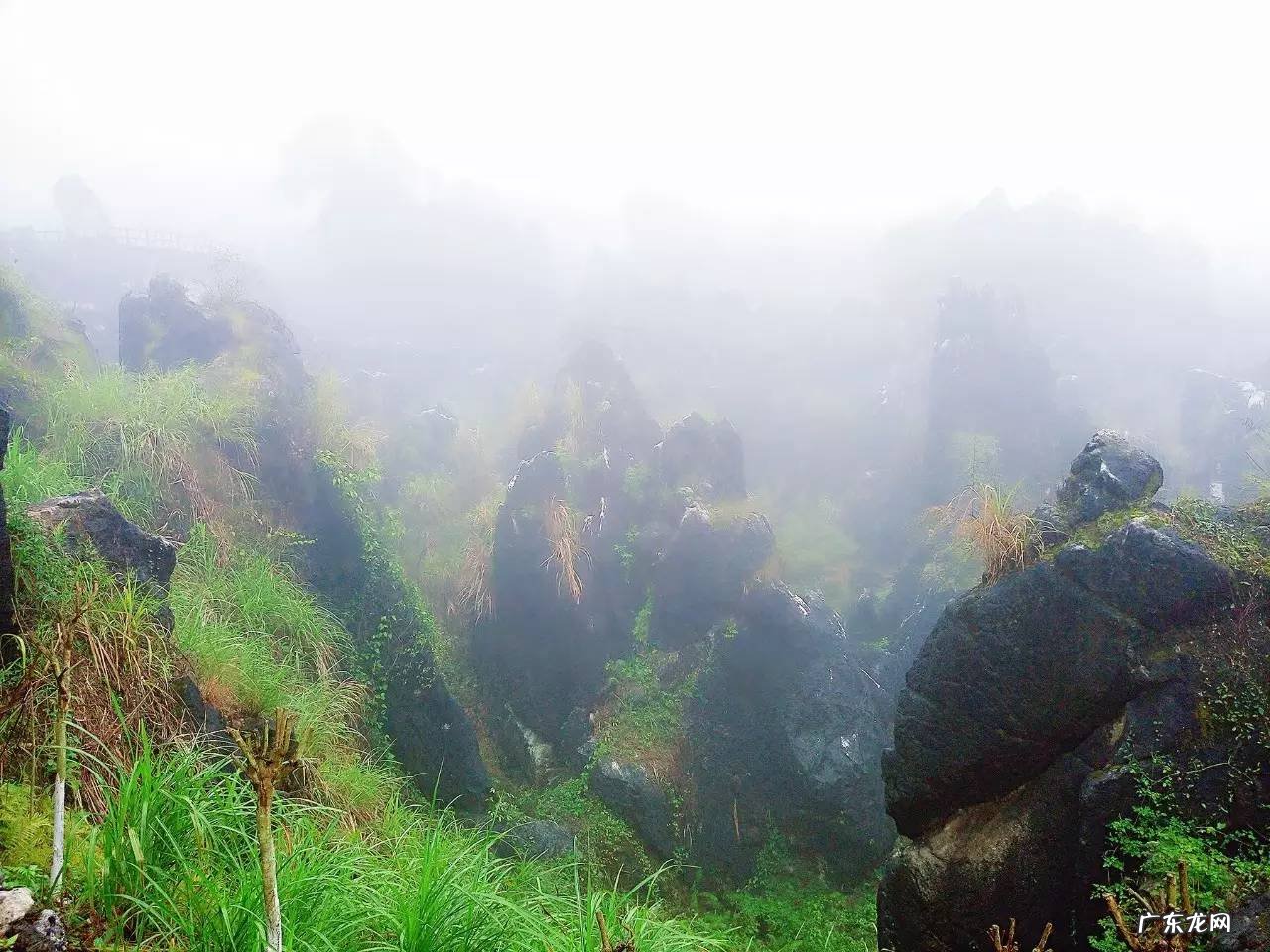 梧州风水师傅 梧州市哪个楼盘风水好