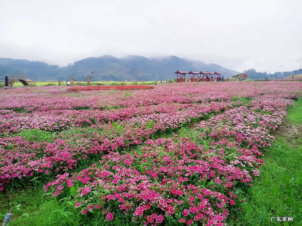 梧州风水师傅 梧州市哪个楼盘风水好