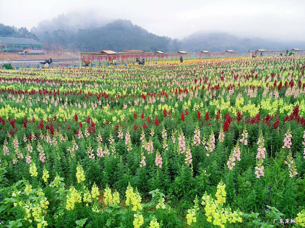 梧州风水师傅 梧州市哪个楼盘风水好