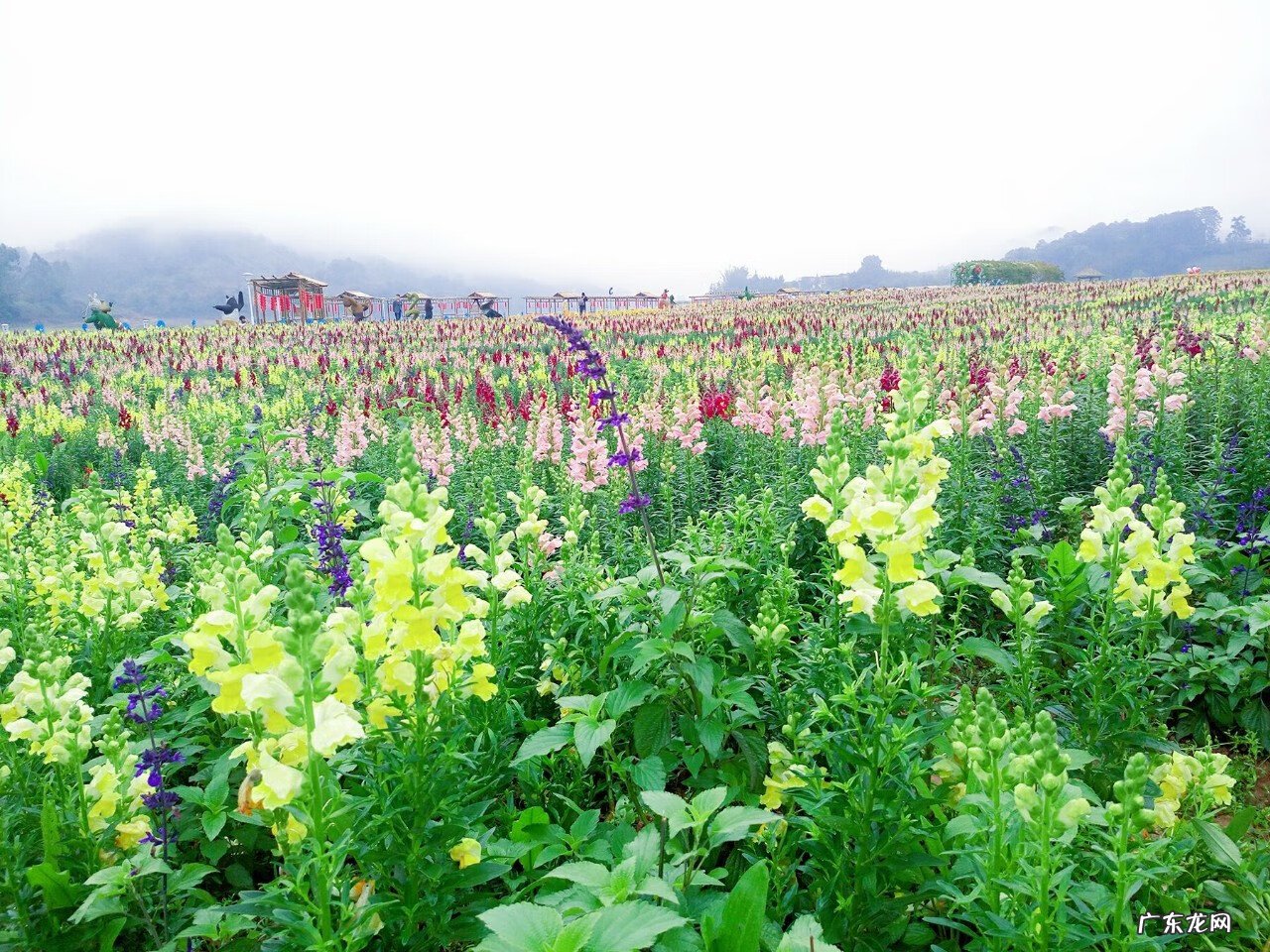 梧州风水师傅 梧州市哪个楼盘风水好