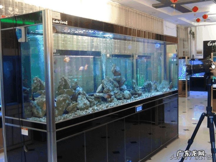 金鱼缸怎么布置 金鱼缸风水位置