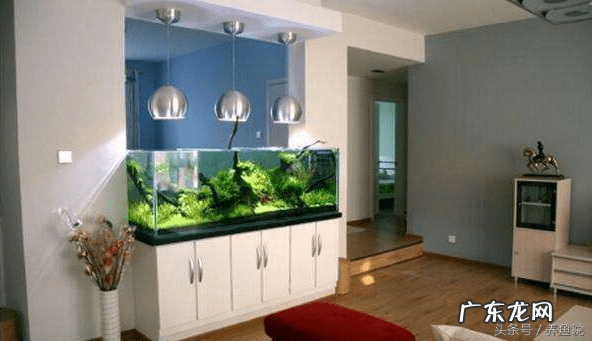 鱼缸正对入户门怎么化解 入户门正对鱼缸风水