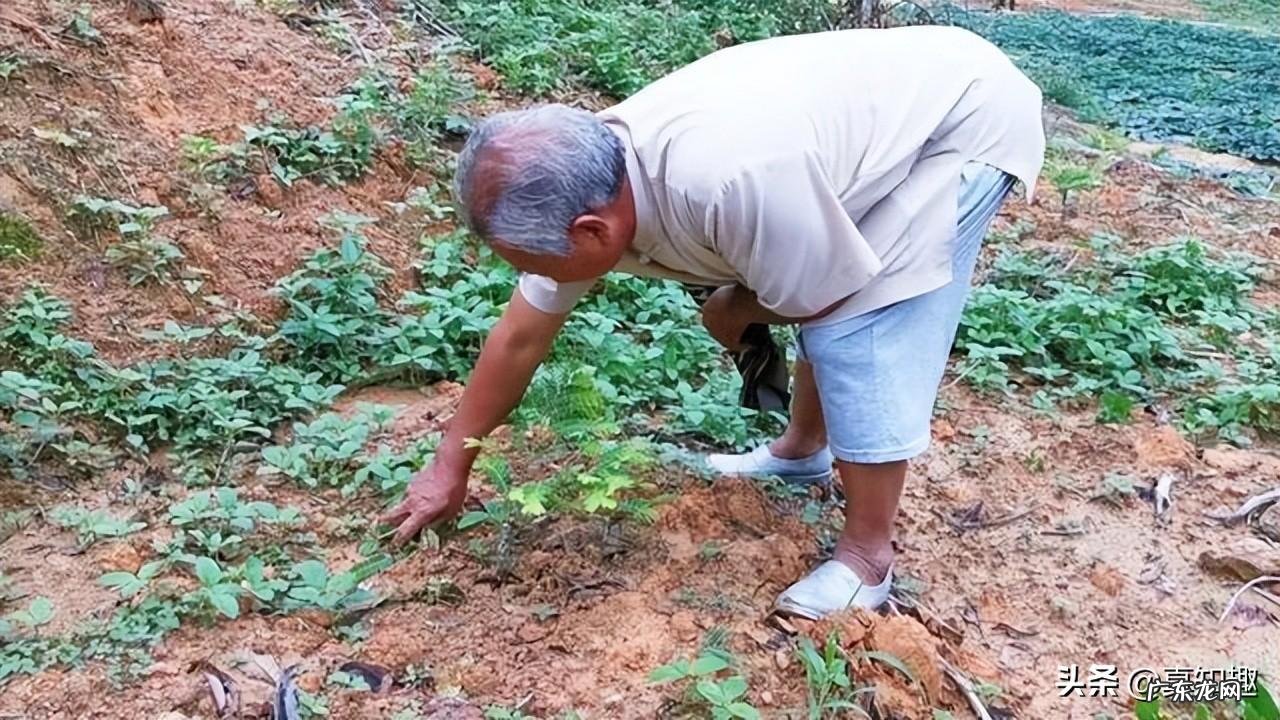 你就必须拜谒一位风水真师吗