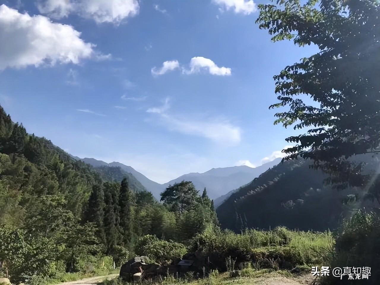 你就必须拜谒一位风水真师吗