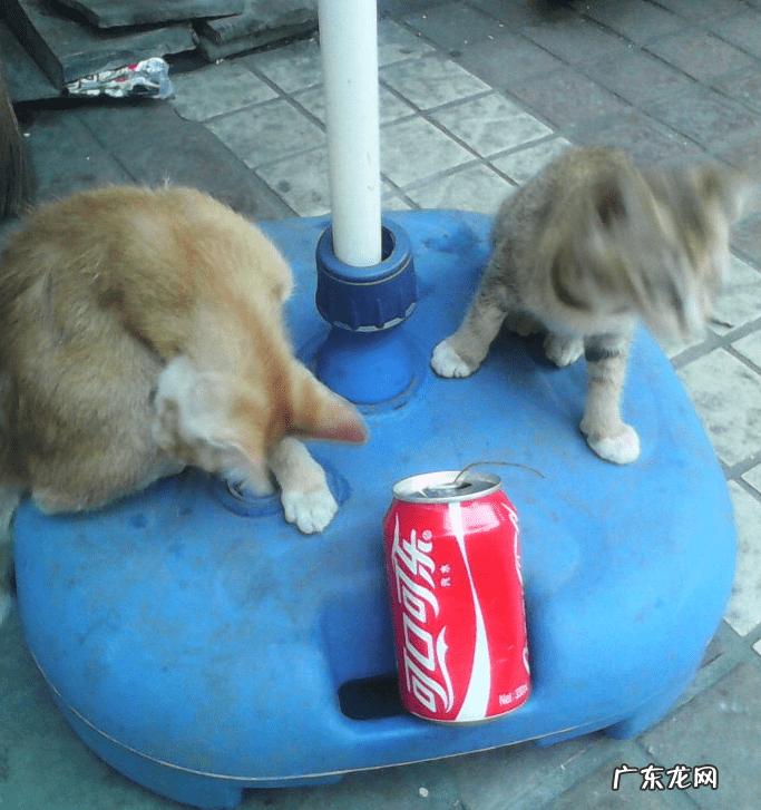 姐弟住楼上楼下有讲究吗风水 兄妹住楼上楼下风水好吗