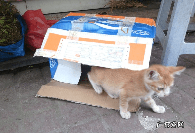 姐弟住楼上楼下有讲究吗风水 兄妹住楼上楼下风水好吗