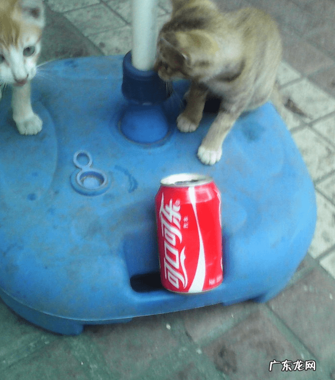 姐弟住楼上楼下有讲究吗风水 兄妹住楼上楼下风水好吗