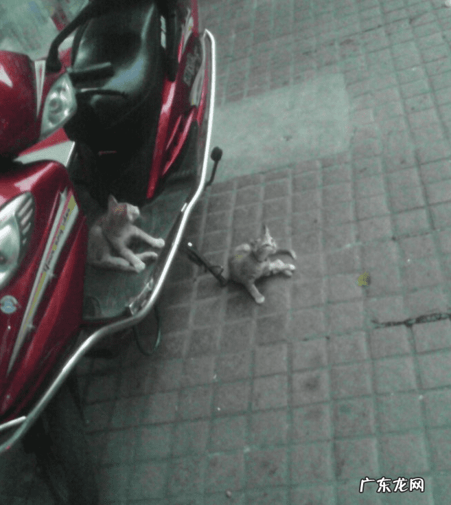 姐弟住楼上楼下有讲究吗风水 兄妹住楼上楼下风水好吗