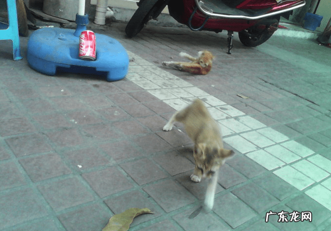 姐弟住楼上楼下有讲究吗风水 兄妹住楼上楼下风水好吗
