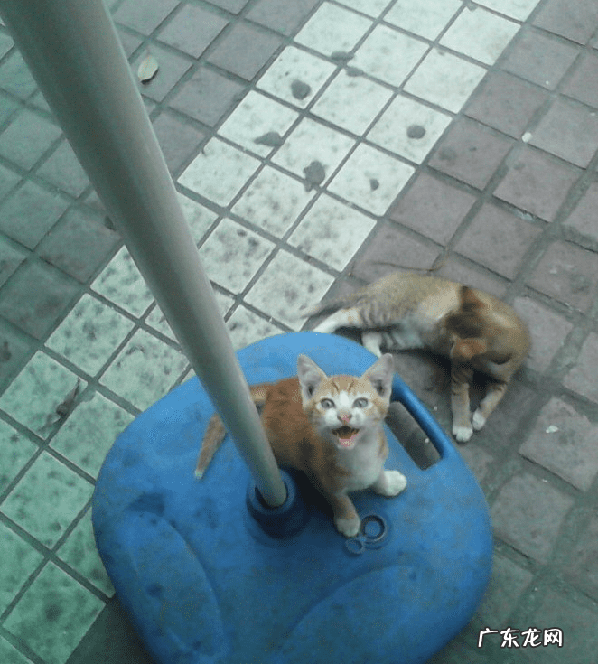 姐弟住楼上楼下有讲究吗风水 兄妹住楼上楼下风水好吗