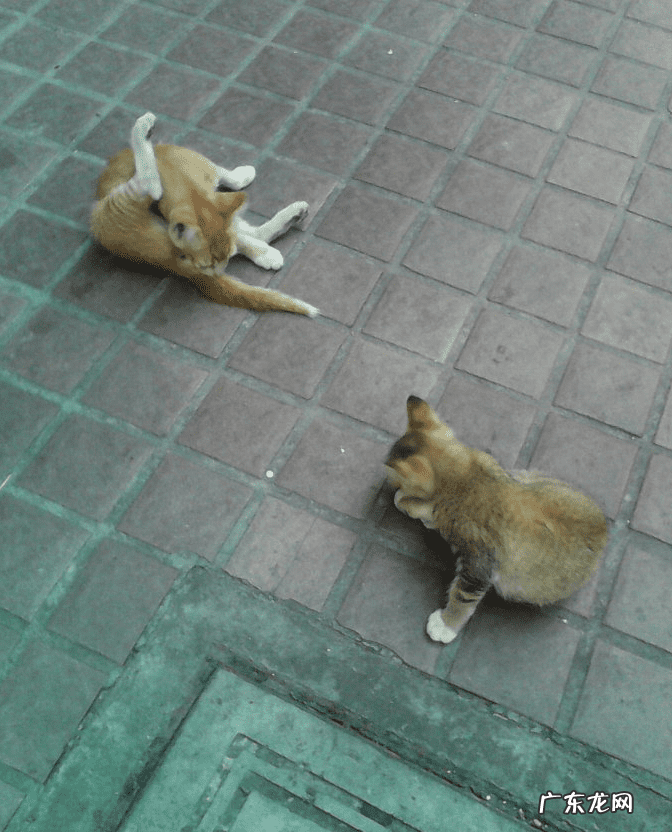 姐弟住楼上楼下有讲究吗风水 兄妹住楼上楼下风水好吗