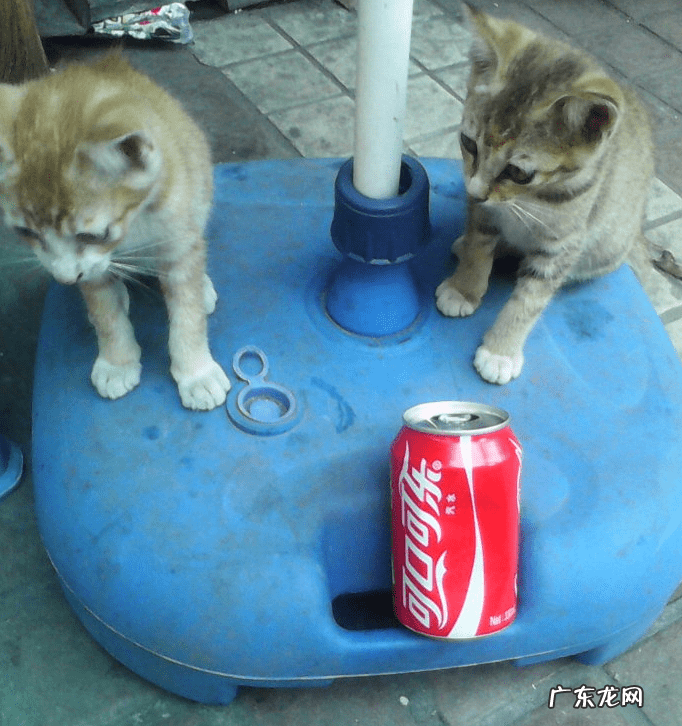 姐弟住楼上楼下有讲究吗风水 兄妹住楼上楼下风水好吗