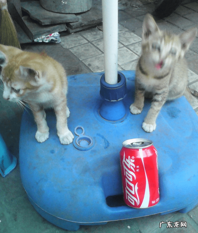 姐弟住楼上楼下有讲究吗风水 兄妹住楼上楼下风水好吗