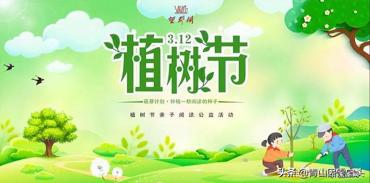 金钱树的风水属性 带金字的树有哪些