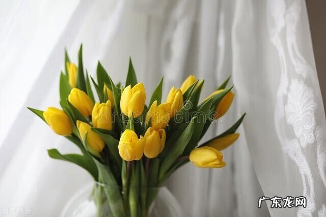 母亲节买什么礼物送 母亲节有什么礼物推荐的