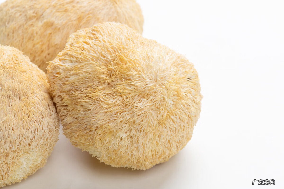 孕中期能吃猴头菇吗 孕妇可以吃猴头菇吗?