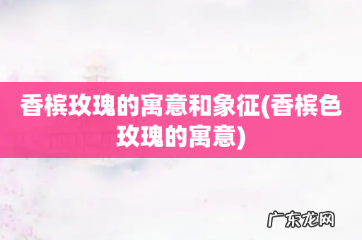 香槟色玫瑰的寓意 香槟玫瑰的寓意和象征