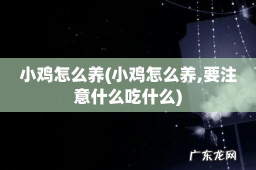 小鸡怎么养,要注意什么吃什么 小鸡怎么养