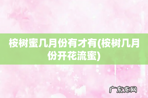 桉树几月份开花流蜜 桉树蜜几月份有才有