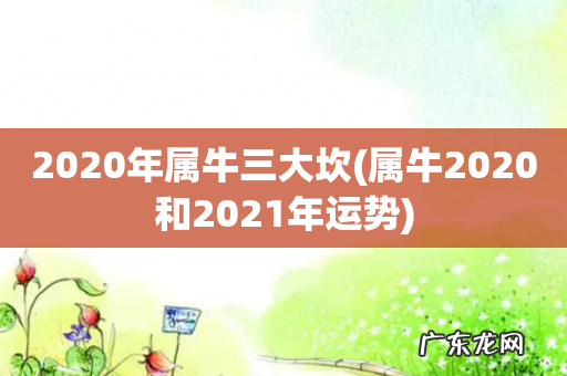属牛2020和2021年运势 2020年属牛三大坎