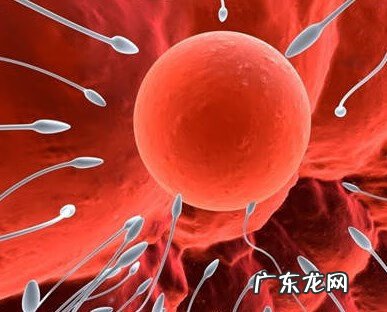 孕后多久能测出来 怀孕后多久才能测出