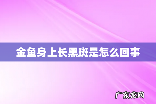 金鱼身上长黑斑是怎么回事