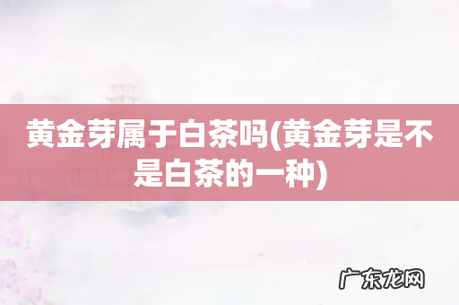 黄金芽是不是白茶的一种 黄金芽属于白茶吗