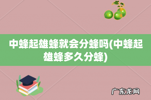 中蜂起雄蜂多久分蜂 中蜂起雄蜂就会分蜂吗