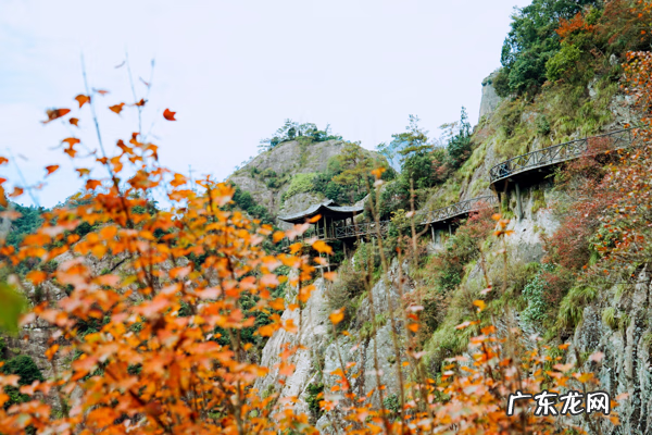 温州风水大师排名 温州最有名的风水师