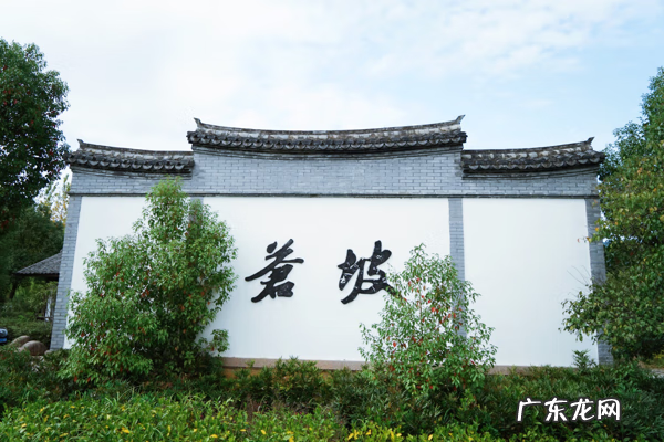 温州风水大师排名 温州最有名的风水师