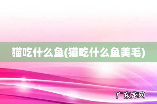 猫吃什么鱼美毛 猫吃什么鱼