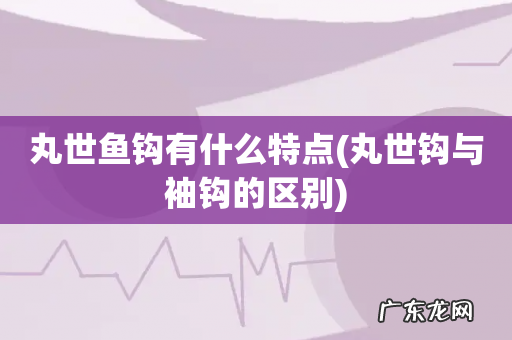 丸世钩与袖钩的区别 丸世鱼钩有什么特点