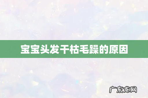 宝宝头发干枯毛躁的原因