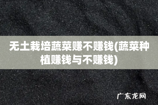 蔬菜种植赚钱与不赚钱 无土栽培蔬菜赚不赚钱