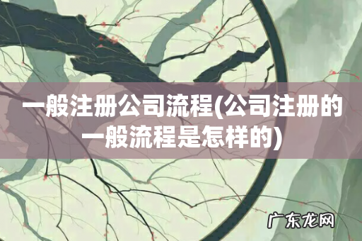 公司注册的一般流程是怎样的 一般注册公司流程