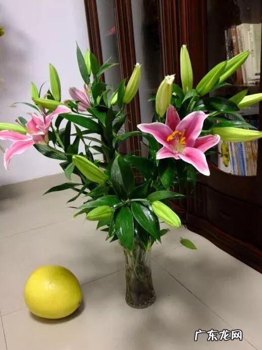 百合如何做哪方面的事 女生说百合是什么意思