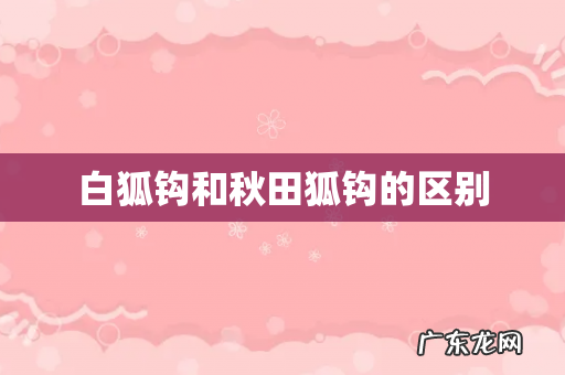 白狐钩和秋田狐钩的区别
