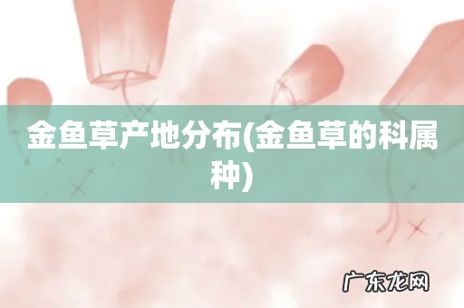 金鱼草的科属种 金鱼草产地分布