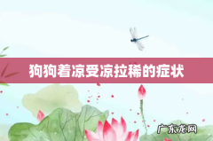 狗狗着凉受凉拉稀的症状