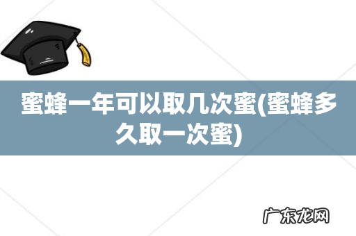 蜜蜂多久取一次蜜 蜜蜂一年可以取几次蜜