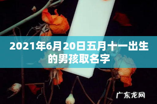 2021年6月20日五月十一出生的男孩取名字